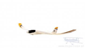 UMX Radian von E-flite BNF EFLU2980 Eflite