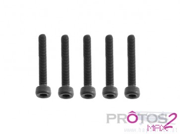 Protos Max V2 - M2x14 Socket head cap screw MSH71105# MSH