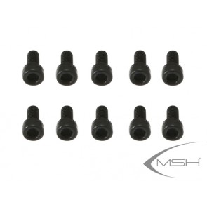 MSH Tetras 280 - M2x4 screw MSHQ28020