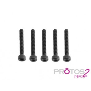 Protos Max V2 - M2x14 Socket head cap screw MSH71105# MSH